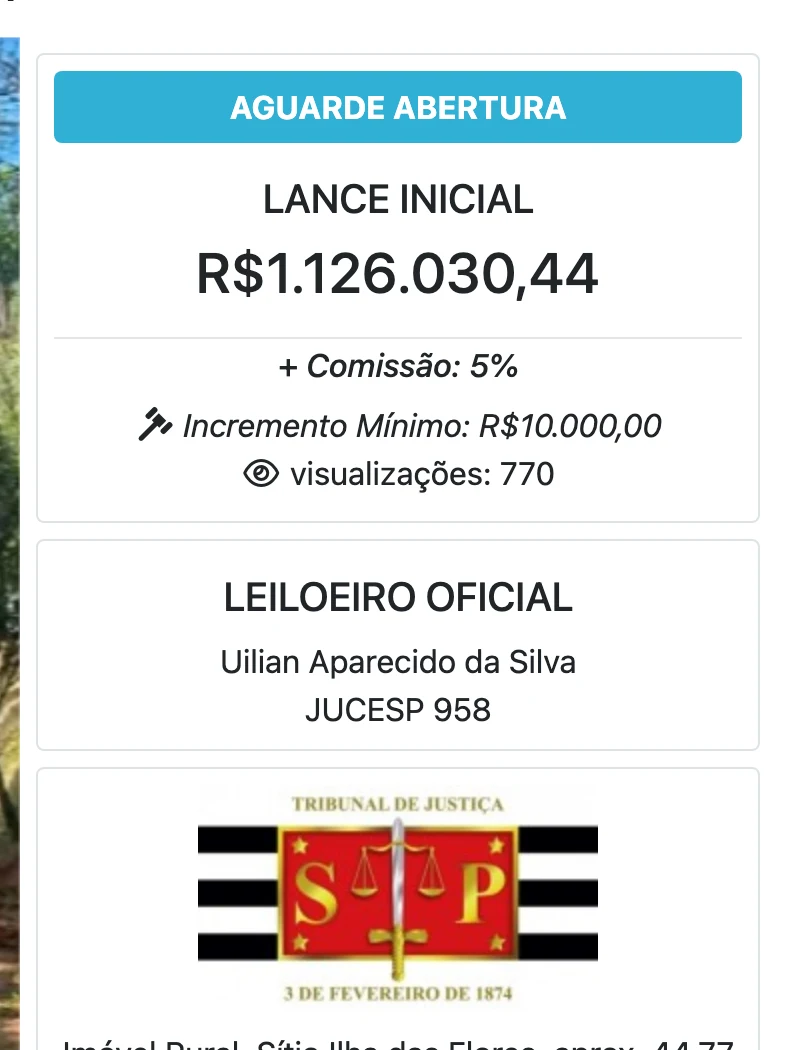 Painel da ficha oficial do leilão mostrando lance inicial, comissão de 5%, incremento mínimo, leiloeiro oficial e o selo do Tribunal de Justiça de São Paulo.