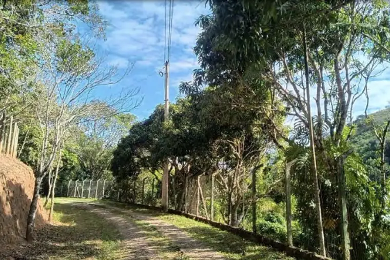 Estrada de terra ladeada por cerca e vegetação.