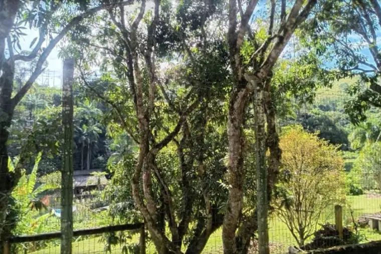Cerca de arame na divisa, com mata e vale ao fundo.