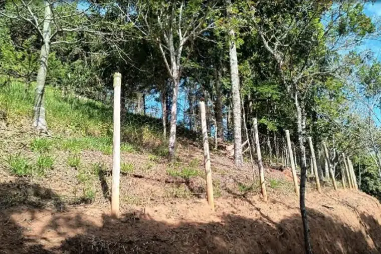 Terreno em declive com mourões de cerca e vegetação.