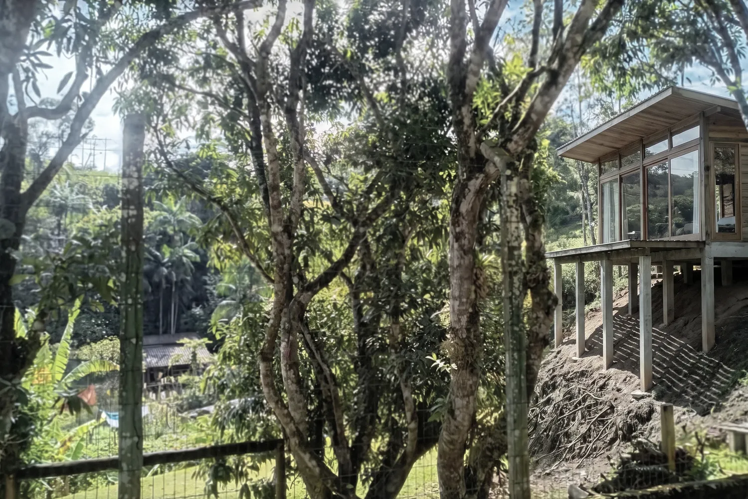 Simulação de uma casa sobre pilotis em encosta arborizada, gerada por IA sobre a fotografia da divisa do imóvel.